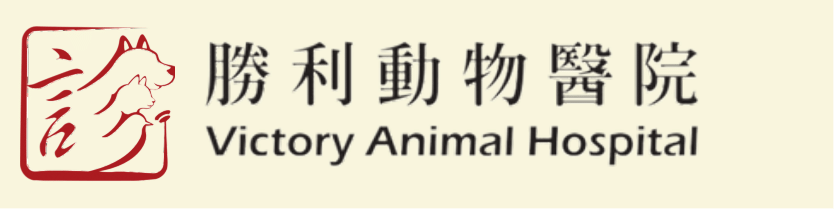 Victory Animal Hospital Hong Kong – Professional veterinary hospital