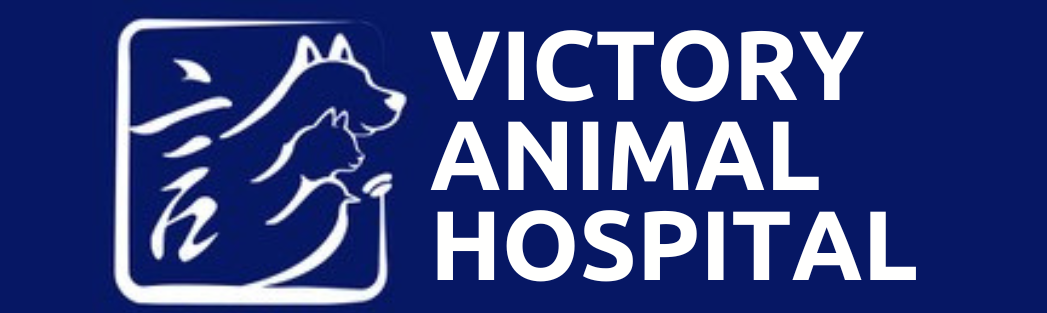 Victory Animal Hospital Hong Kong